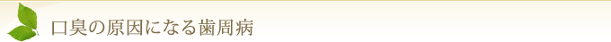 口臭の原因になる歯周病